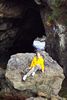 Rocks